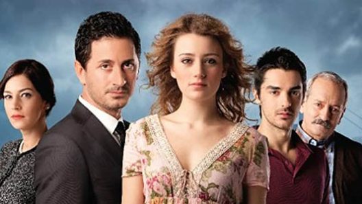 مسلسل الصاعقة التي سقطت على المنزل الحلقة 22 والاخيرة مترجمة