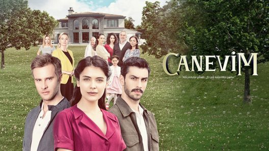مسلسل قلبي الحلقة 17 مترجمة والاخيرة