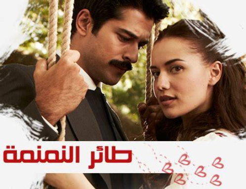 مشاهدة الفيديو