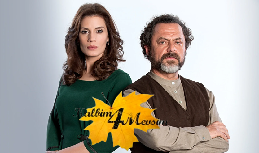 مشاهدة الفيديو